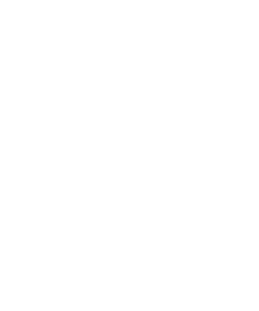 Torch Icon Torch Icon